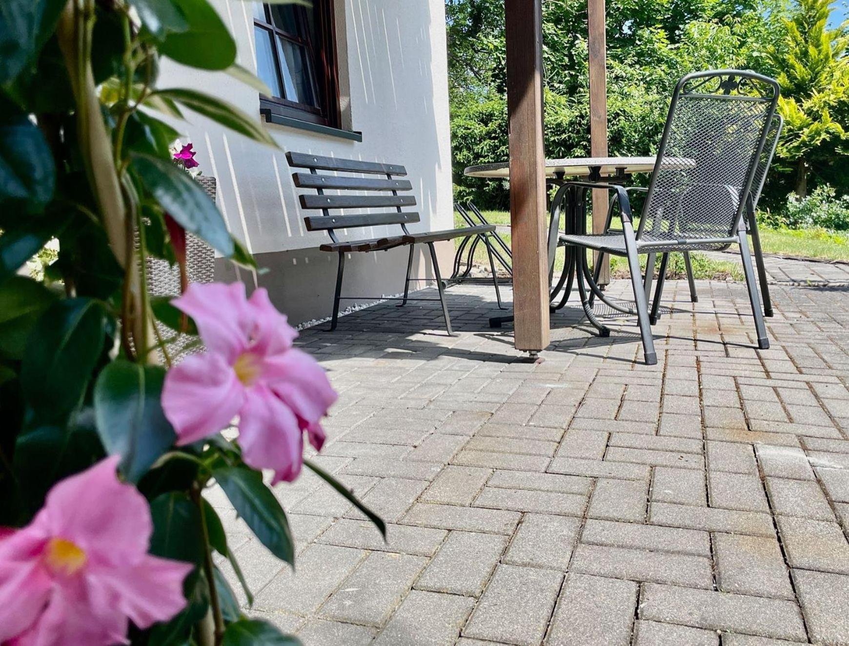 Ferienwohnung-Am-Suedhang Muglitztal Zewnętrze zdjęcie
