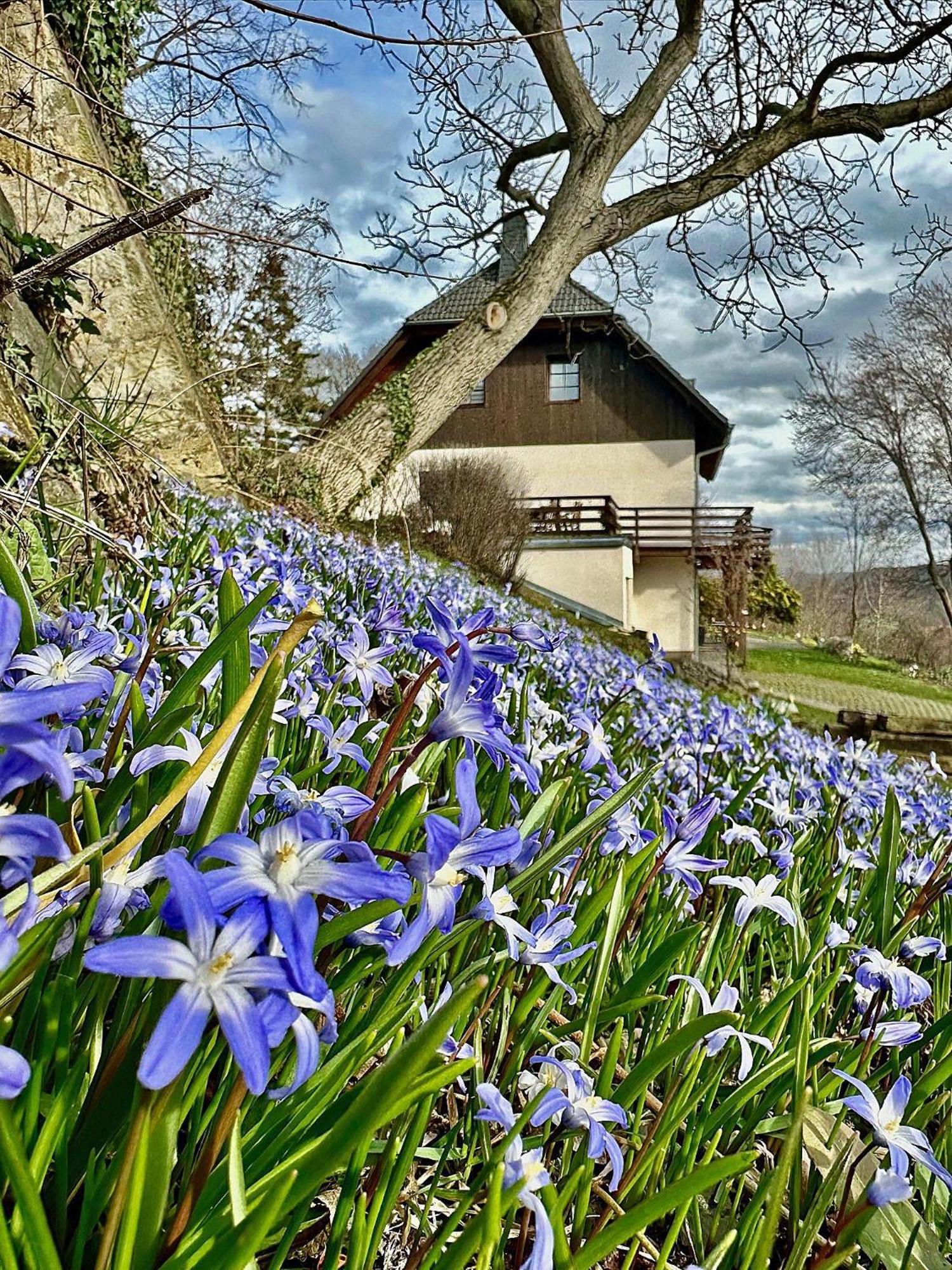 Ferienwohnung-Am-Suedhang Muglitztal Zewnętrze zdjęcie