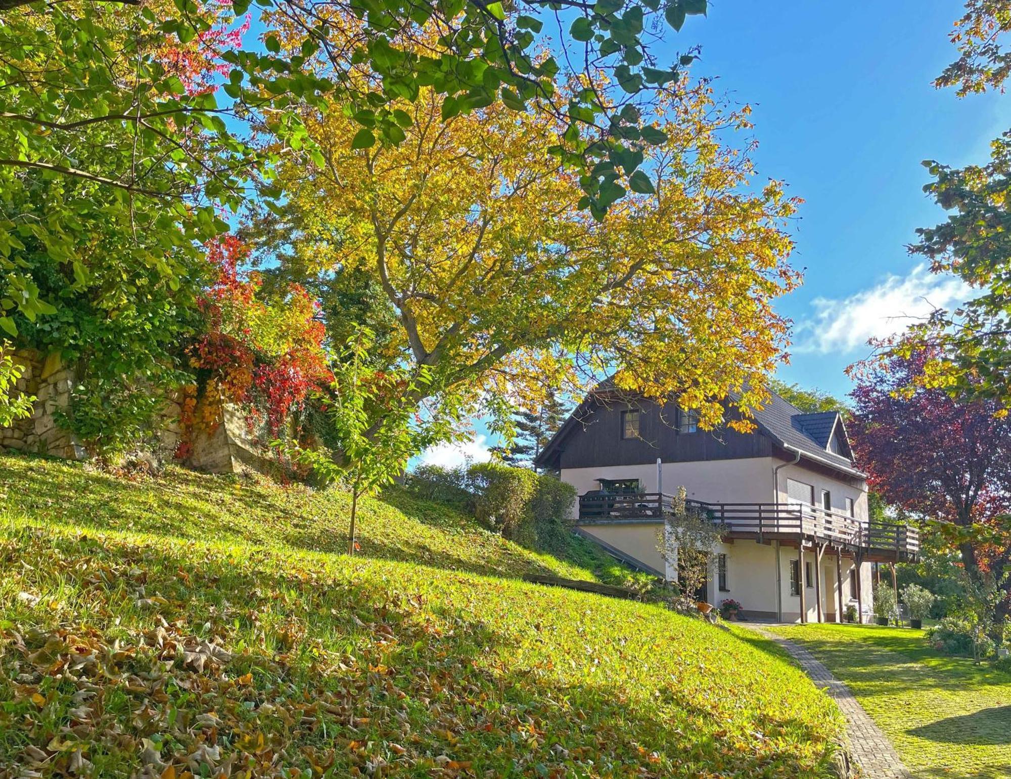 Ferienwohnung-Am-Suedhang Muglitztal Zewnętrze zdjęcie