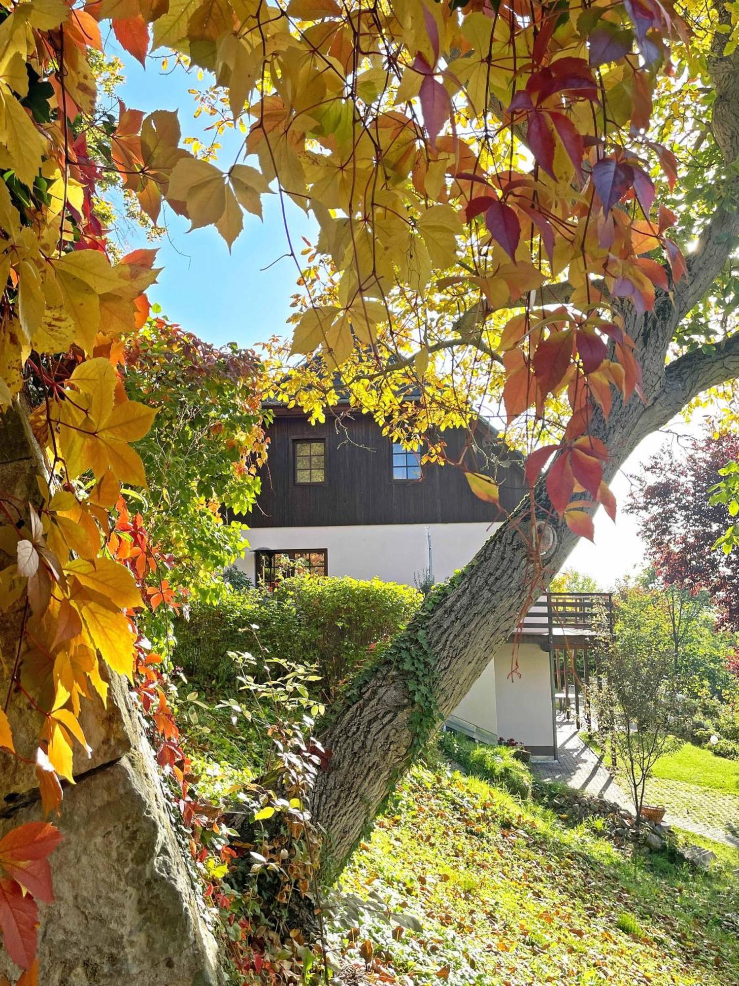 Ferienwohnung-Am-Suedhang Muglitztal Zewnętrze zdjęcie